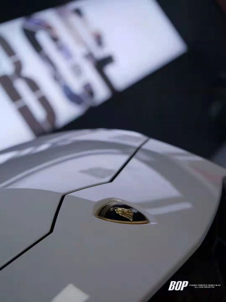 Paint Protection Film PPF Pro