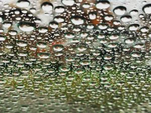 Hydrophobic Paint Protection